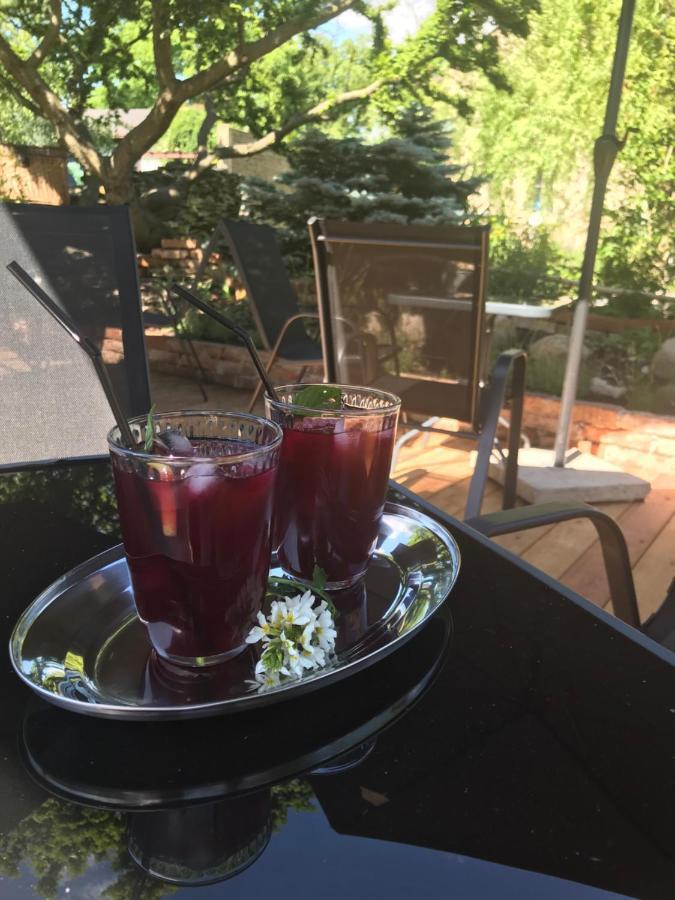 U Borovice Apartmán