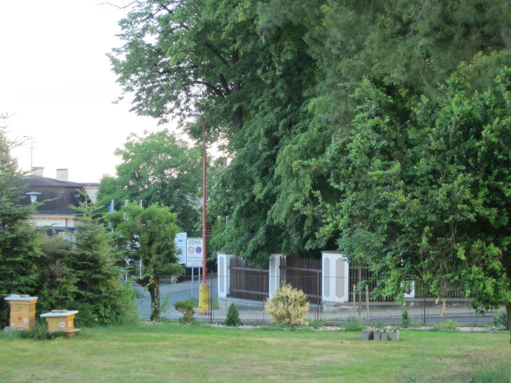 Apartment U Borovice *