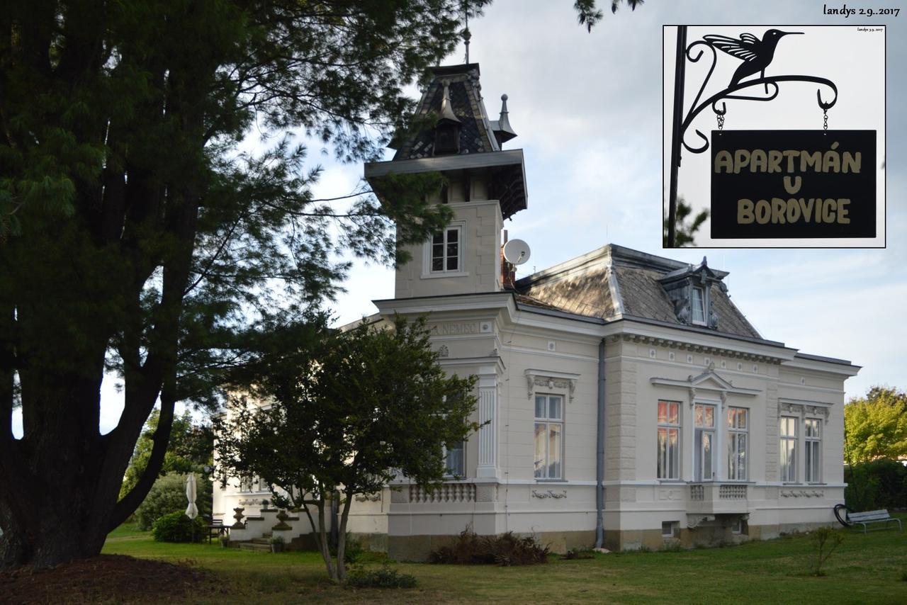U Borovice * Rychnov nad Kneznou